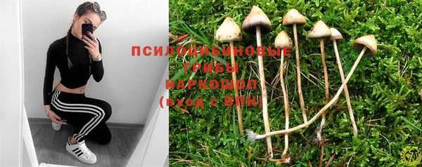 первитин Алексин