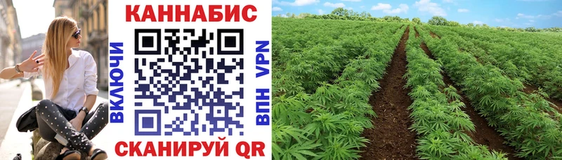 Каннабис план  Темрюк 